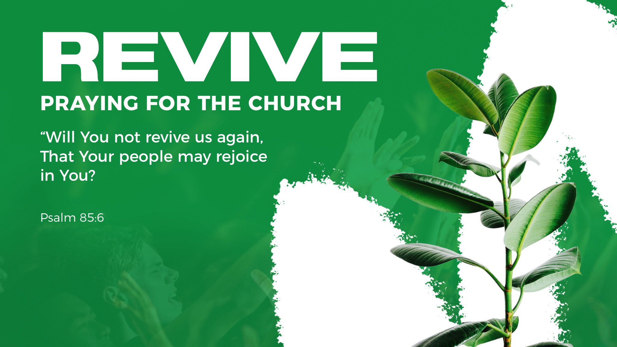 revive graphic